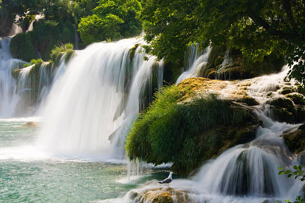 istock Waterfalls on Krka River. National Park, Dalmatia, Croatia 185572537