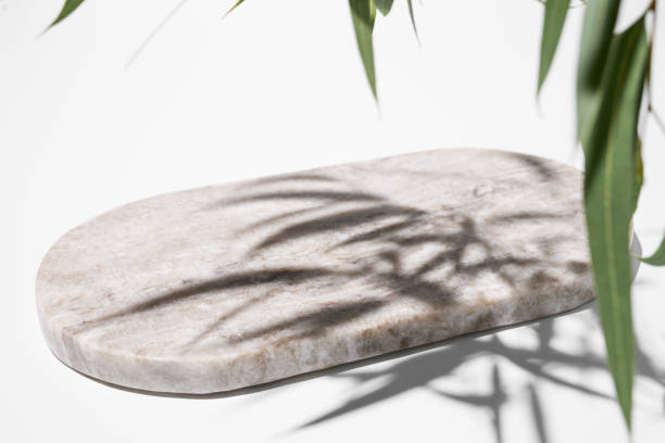 istock Empty marble board or tray with shadows and green leaves on white background. 1855725779