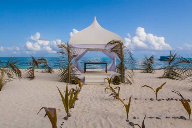 istock Wedding arch and set up on beach arranged wedding ceremony 1855725787