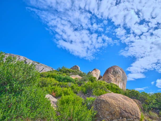 boulders and wilderness - and blue sky with clouds - straggling imagens e fotografias de stock