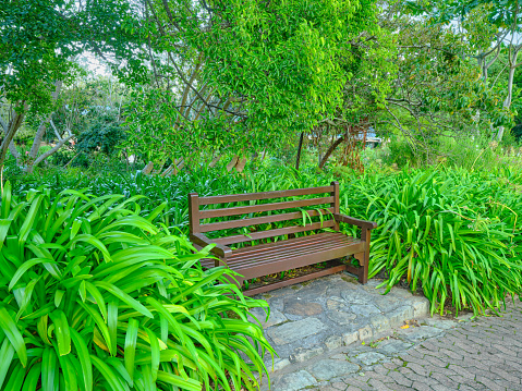 Winding Path and Wooden Bench in a Peaceful Green Garden