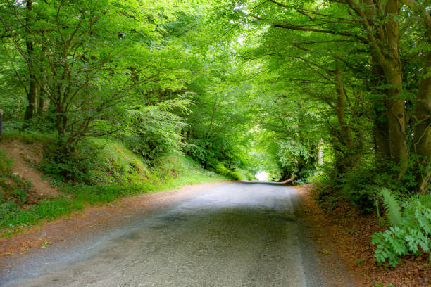istock Road to Irish countryside 1855744914