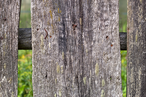 old wooden fence detail in summer countryside