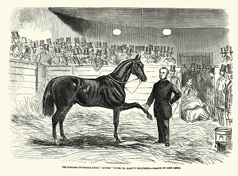 Vintage illustration of John Solomon Rarey a nineteenth-century horse whisperer, training a difficult horse, History 1850s