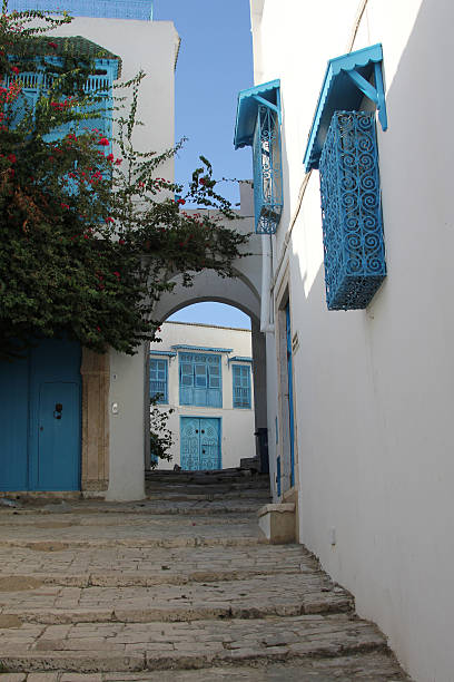 istock Home in Sidi Bou Said, Tunisia 185576671