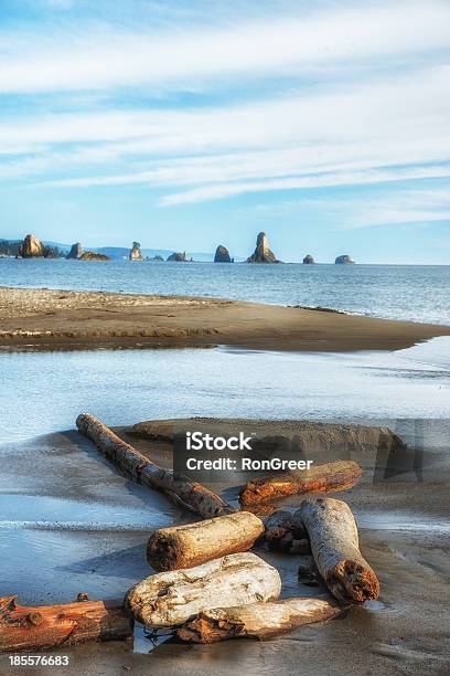 Photo libre de droit de Plage De 3 À Olympic National Park État De Washington banque d'images et plus d'images libres de droit de Third Beach