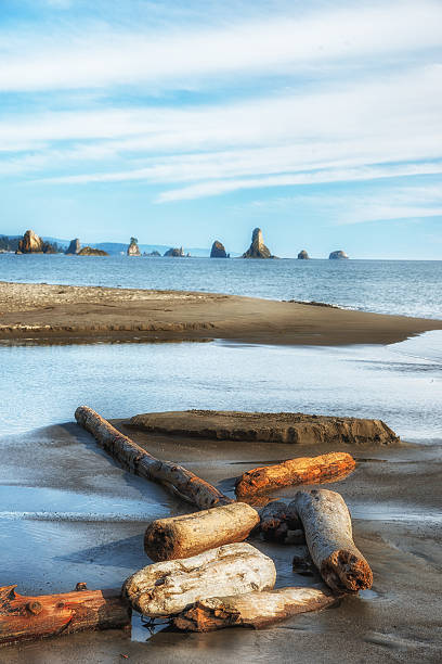 beach 3 at olympic national park, washington state stock photo