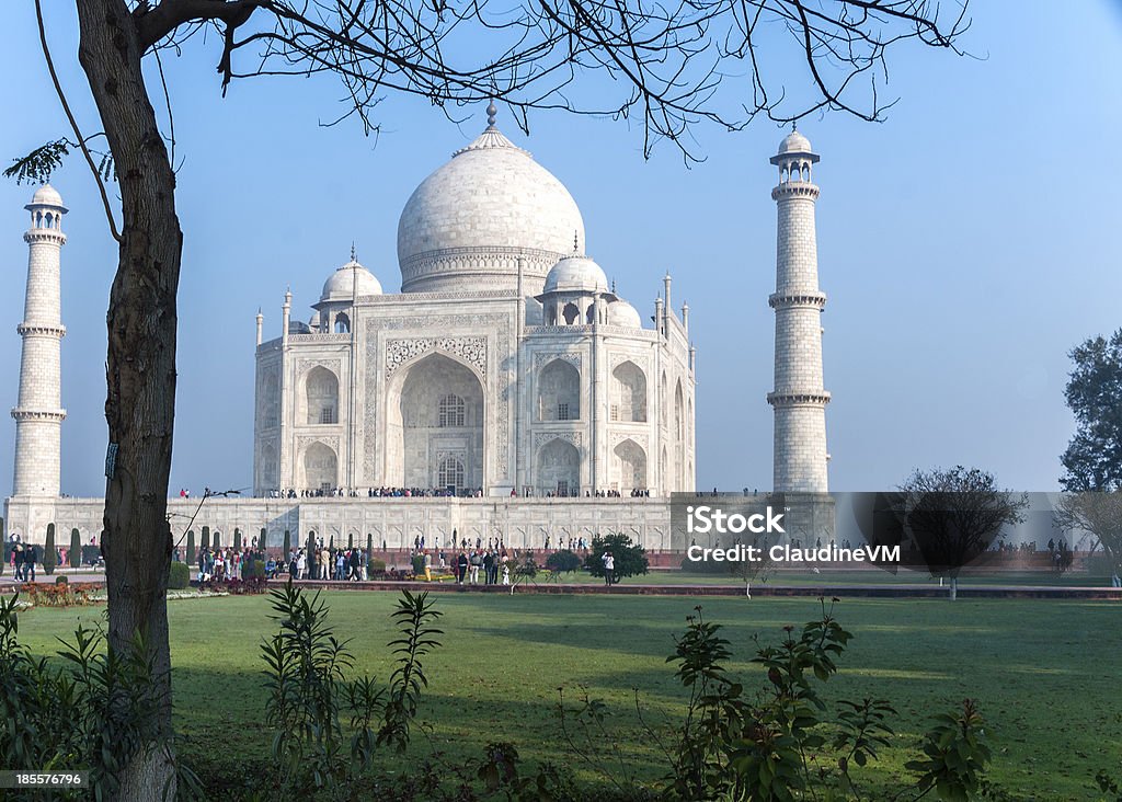 Taj Mahal-mausoleum aus unter einem Baum. - Lizenzfrei Agra Stock-Foto