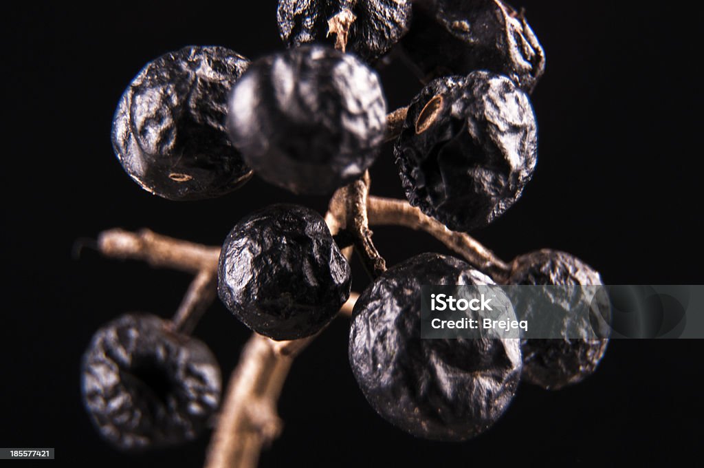 Withe Rod Black Withe Rod Fruit Stock Photo - Download Image Now - Agriculture ...