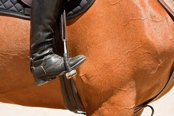 Photo of Rider competing in dressage competition classic, Spain