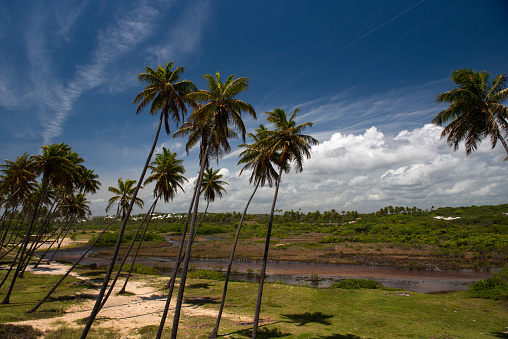 Massarandupió beach on the north coast of Bahia in Brazil