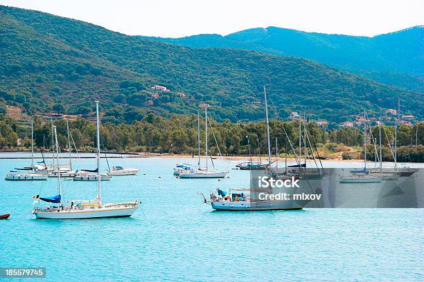Blick Auf Die Insel Elba Italien Mit Segelbooten Stockfoto und mehr Bilder von Baum