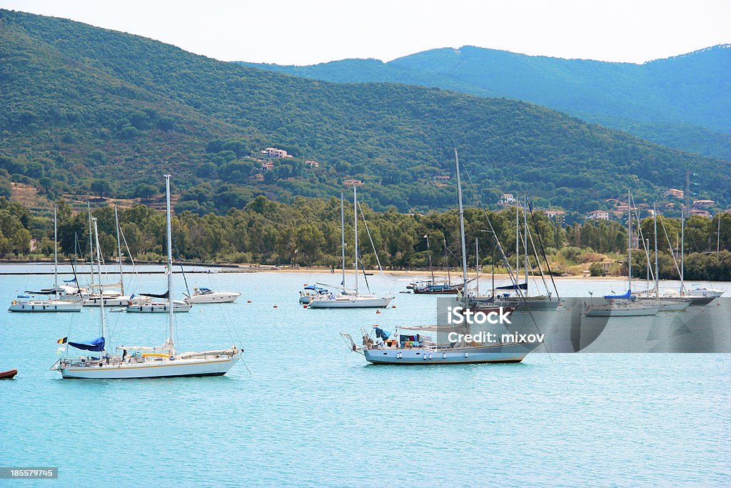 Vista dell'Isola d'Elba, Italia.  Con le barche a vela - Foto stock royalty-free di Albero