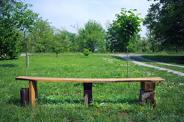 banco de madeira feitos à mão velha - footpath single lane road green tree - fotografias e filmes do acervo