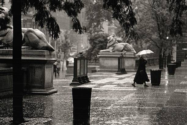 ニューヨーク公共図書館雨の日 - new york public library ストックフォトと画像