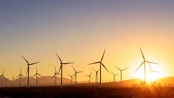 Photo of Thousands of wind turbines at sunset