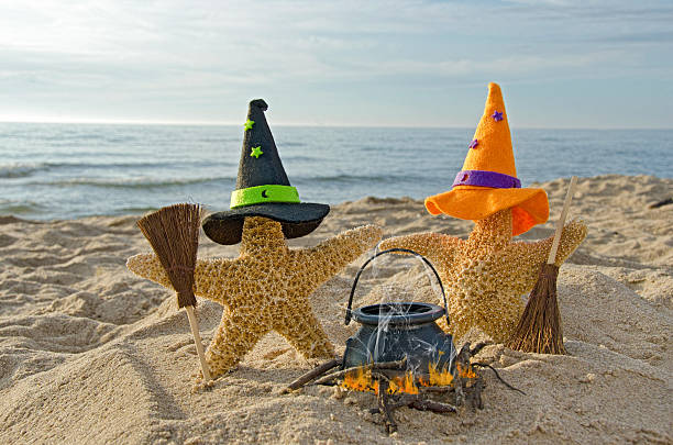 Halloween starfish on beach Starfish with witch hats and brooms on the beach. cauldron photos stock pictures, royalty-free photos & images