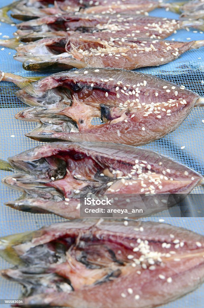 Sonnengetrocknete Mackerels mit weißem Sesam. - Lizenzfrei Abnehmen Stock-Foto