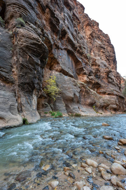 istock The Narrows of the Virgin River 1855857422