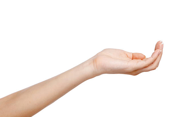 istock Female hand isolated on white background 185585931