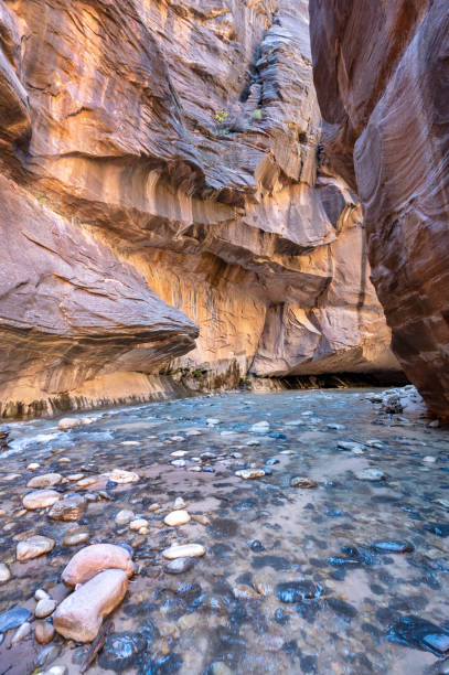 istock The Narrows of the Virgin River 1855861092