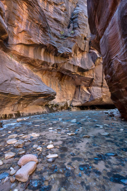 istock The Narrows of the Virgin River 1855862363