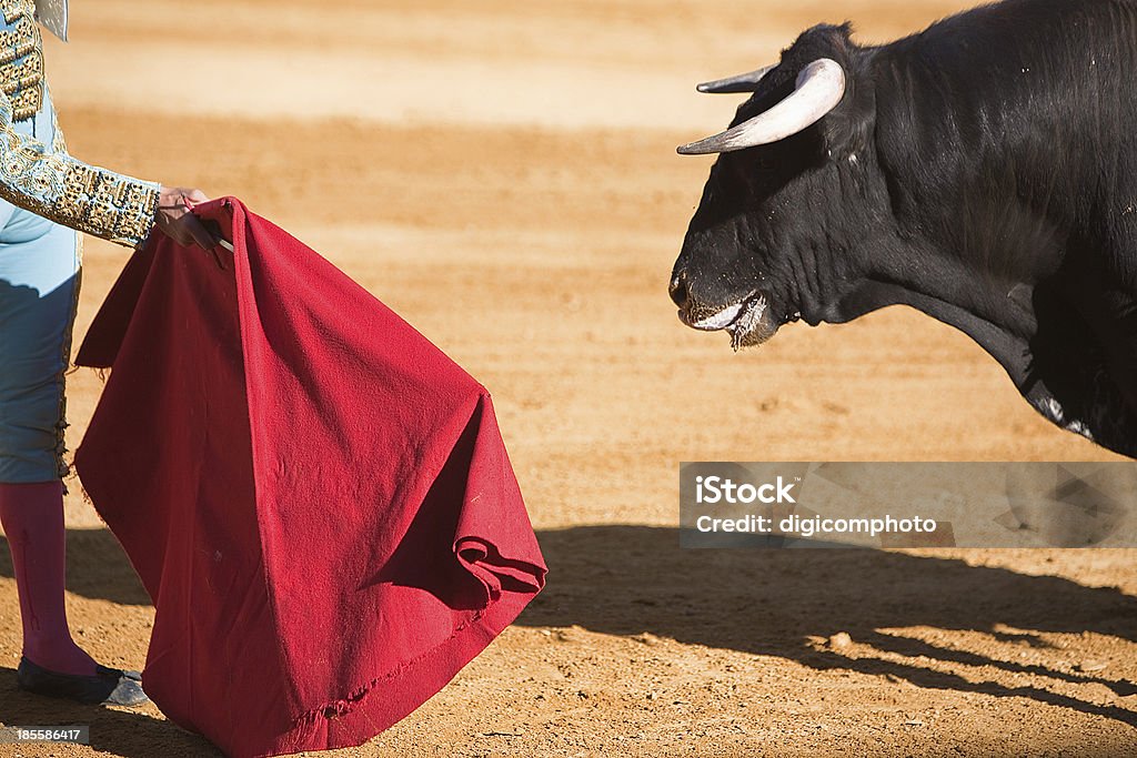 Matador Waving A Red Cape At A Bull In A Bullfight In Spain Stock Photo -  Download Image Now - iStock