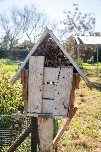 istock Insect hotel in an organically grown orchard 1855865703