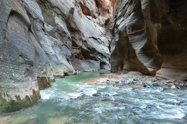 istock The Narrows of the Virgin River 1855866208