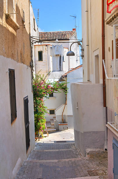 istock Alleyway. Rodi Garganico. Puglia. Italy. 185586821