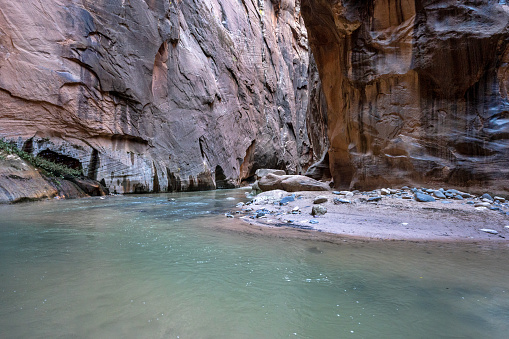 The Narrows of Zion National Park's Virgin River offer a risky but nearly irresistible opportunity to experience the dramatic beauty of a slot canyon from the inside.