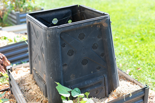 Compost bins in a home vegetable garden