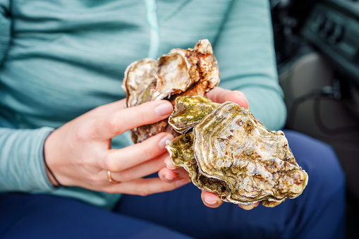 A young woman crouching on the beach, holding freshly caught oysters in her hands. She looks excited and happy while enjoying the freshly caught seafood at the seaside.