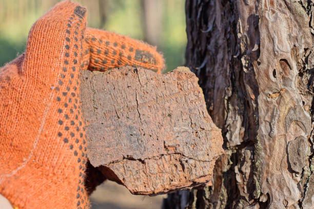 a hand in an orange work mitten holds a piece of red old brick - throwing stone human hand rock - fotografias e filmes do acervo
