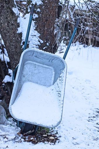 one gray metal garden wheelbarrow in white snow stands near a tree on a winter street