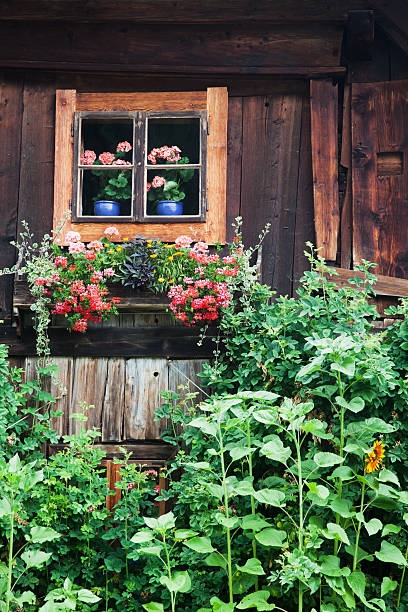istock window of an old log cabin in Austria 185594969