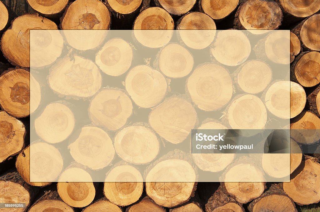 Pile of cut tree trunks with year rings in framework A pile of cut tree trunks with concentric year rings incorporated in a frame Aging Process Stock Photo