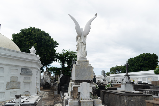 Salvador, Bahia, Brazil - November 02, 2023: View of the Campo Santo cemetery in the city of Salvador, Bahia.