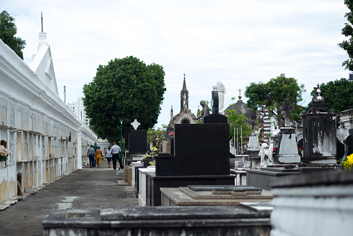 Salvador, Bahia, Brazil - November 02, 2023: View of the Campo Santo cemetery on the Day of the Dead. City of Salvador, Bahia.