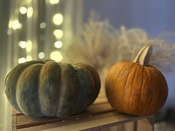 istock Pumpkins on a wooden shelf with a garland 1855968524