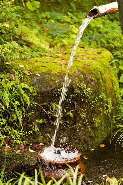 A close-up shot of a traditional Japanese kakehi fountain with two ladles lying by the water pipe, surrounded by ferns.