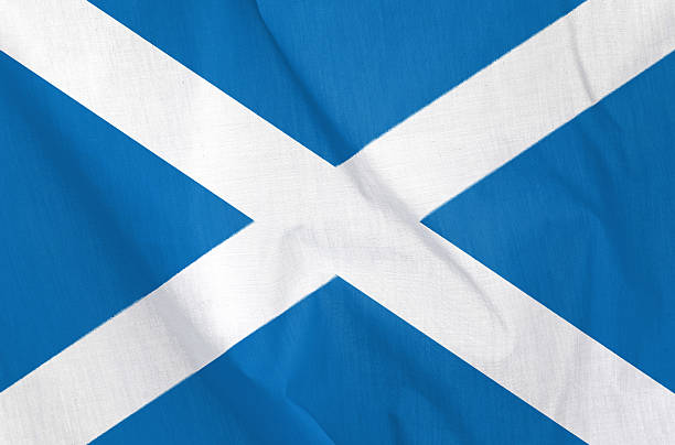 istock Fabric Flag of Scotland 185597950