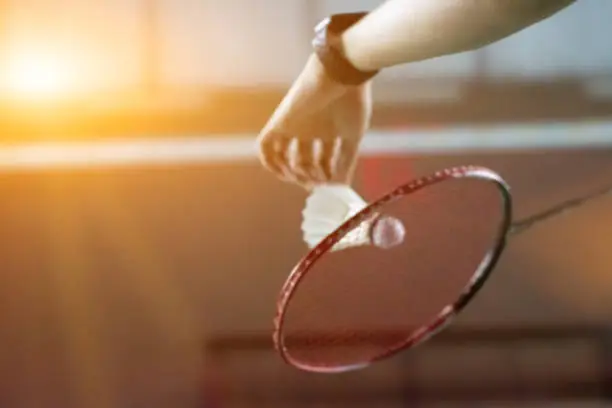 Photo of Badminton Sports