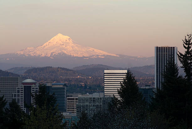 istock Architecture Buildings Downtown Portland Cascade Range Mount Hood 185601405