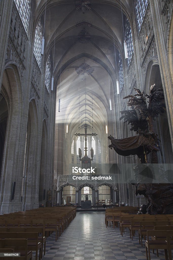 Löwen-Nave st. Peters gotische Kathedrale - Lizenzfrei Alt Stock-Foto