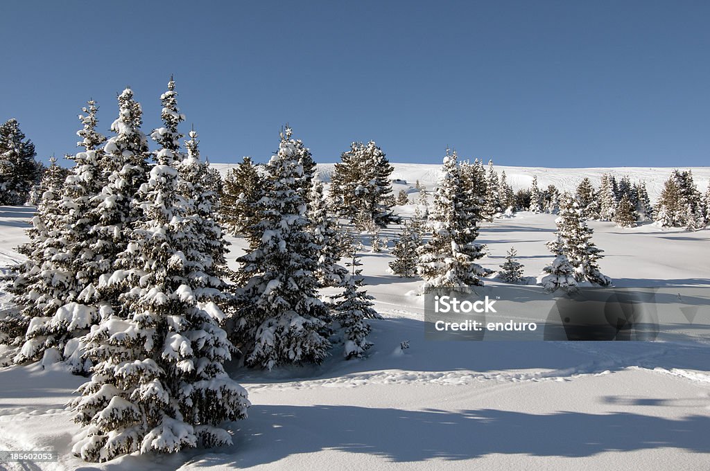 Zima w górach. - Zbiór zdjęć royalty-free (Bez ludzi)