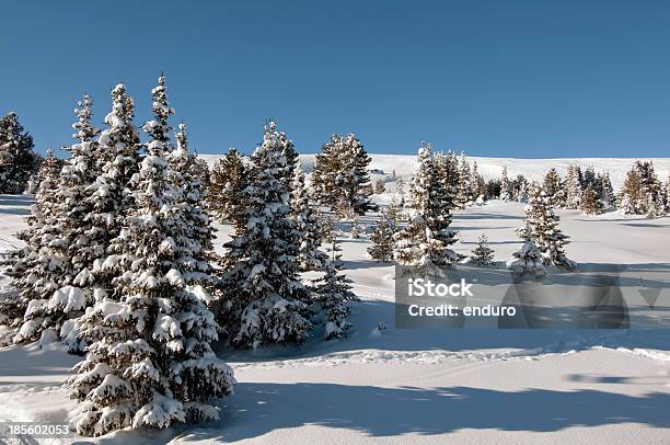 Zima W Górach - zdjęcia stockowe i więcej obrazów Bez ludzi - Bez ludzi, Biały, Chmura