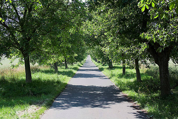 road stock photo