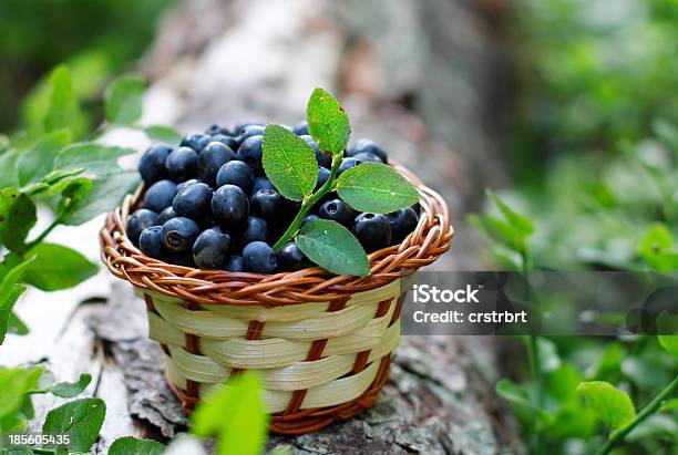 Bela Mirtilos - Fotografias de stock e mais imagens de Alimentação Saudável - Alimentação Saudável, Azul, Cesto