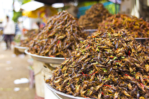 istock notorious bug eating of asia 185605704